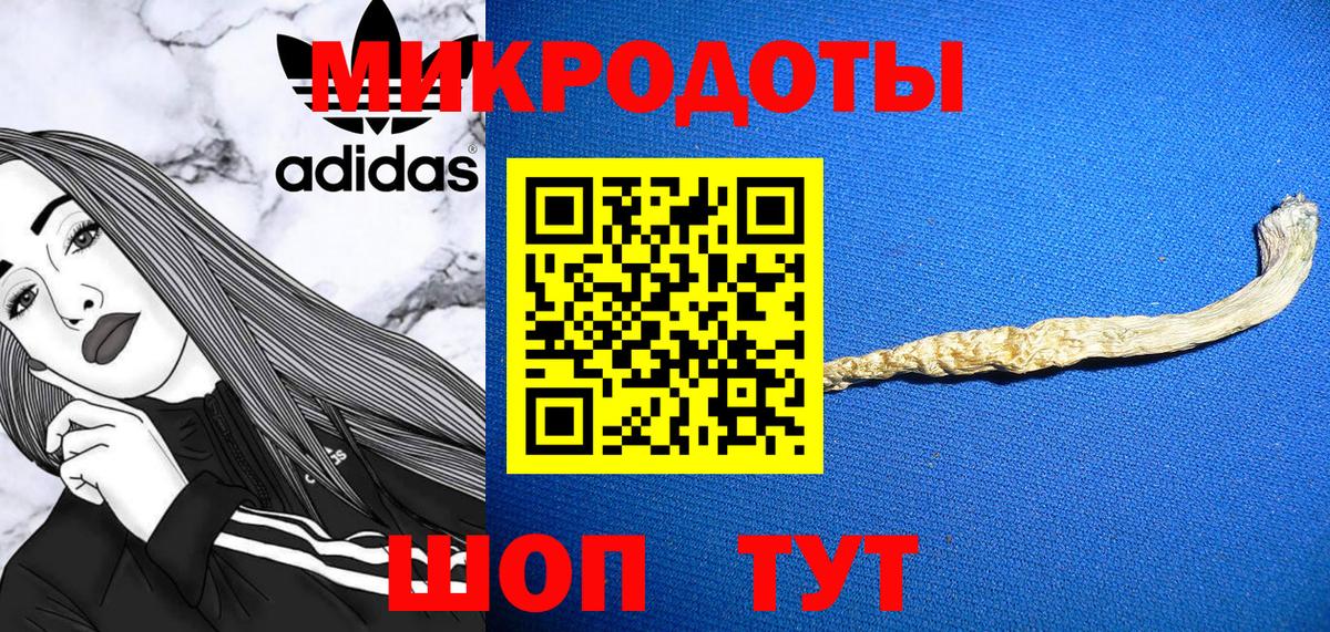 Псилоцибиновые грибы Cubensis  Вход с VPN  Гусь-Хрустальный  Псилоцибиновые грибы GOLDEN TEACHER 