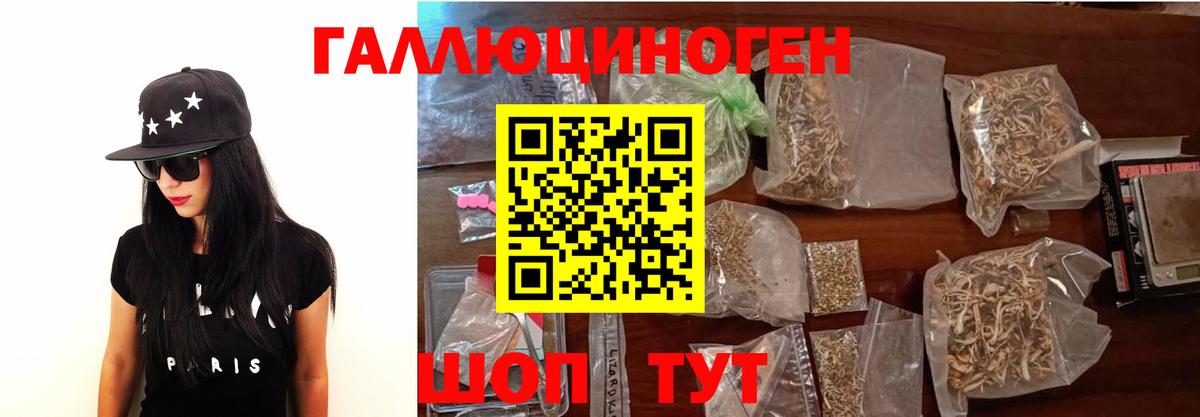 Псилоцибиновые грибы GOLDEN TEACHER Гусь-Хрустальный